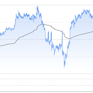 ScreenShot_2026-02-08_111422_133